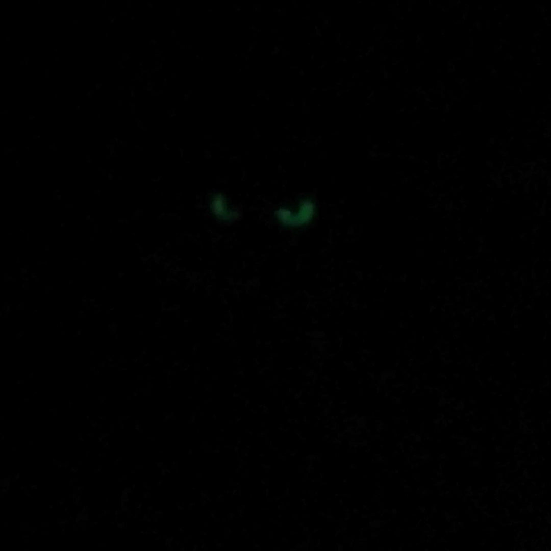 PVC Patch "PaganEDC Cat"